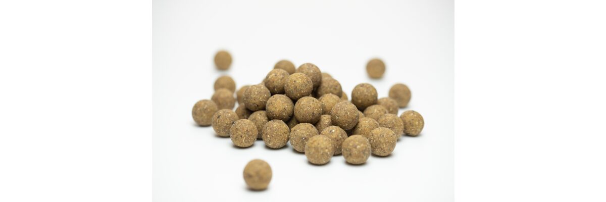 Boilie Rezepte – nutze unser Sortiment für wahrlich einzigartige Karpfenköder - Boilie Rezepte für einzigartige Karpfenköder | Fischmehl &amp; süß