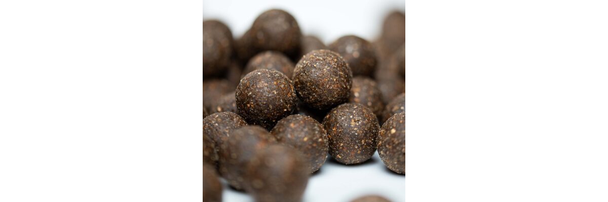 Selbstgemachte Boilies – warum sich der Aufwand lohnt und welche Zutaten den Unterschied machen - Die besten Zutaten für selbstgemachte Boilies