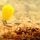 Korda Slow Sinking IB Corn Yellow