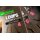 Korda Loop Rigs DF Wide Gape Barbless (18lb) 8