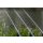 Fox - Explorer Ti Rod 8-10ft / 3lb