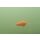 Black Cat - Mushroom U-Float schwarz 5g
