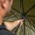 Avid Carp Revolve 60 Brolly System