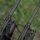 Avid Carp Revolve 10ft - 3.0lbs