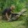 Avid Carp RVS 3 Rod Sleeve 13ft