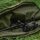 Avid Carp RVS Single Sleeve 10ft