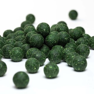 Carpline24 - Futterboilies GLM - 5 kg 16 mm