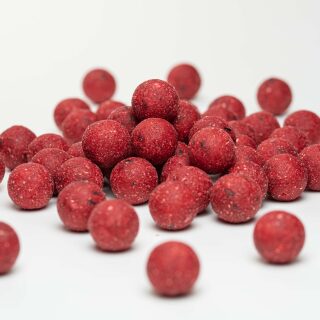 Carpline24 - Futterboilies Erdbeere - 10 kg 16 mm