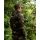Korda Dark Kamo Zip Hoodie M