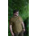 Avid Carp Icon T-Shirt khaki - 3XL