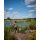 Fox - Horizon X3-S Cork Handle 10ft 3.00lb