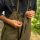 Avid Carp Hydro-Force 20K Salopettes - L