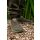 Fox - Mesh Lite Trainer Size 9 / 43