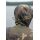 Korda Drykore Jacket Dark Kamo M