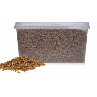 Mehlwürmer getrocknet 1 kg