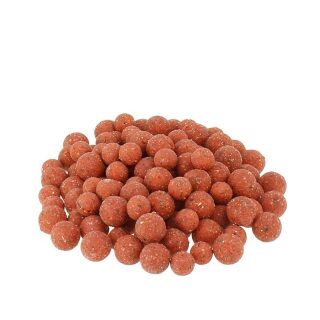 Carpline24 - Erdbeere / Scopex Boilies - 10 kg