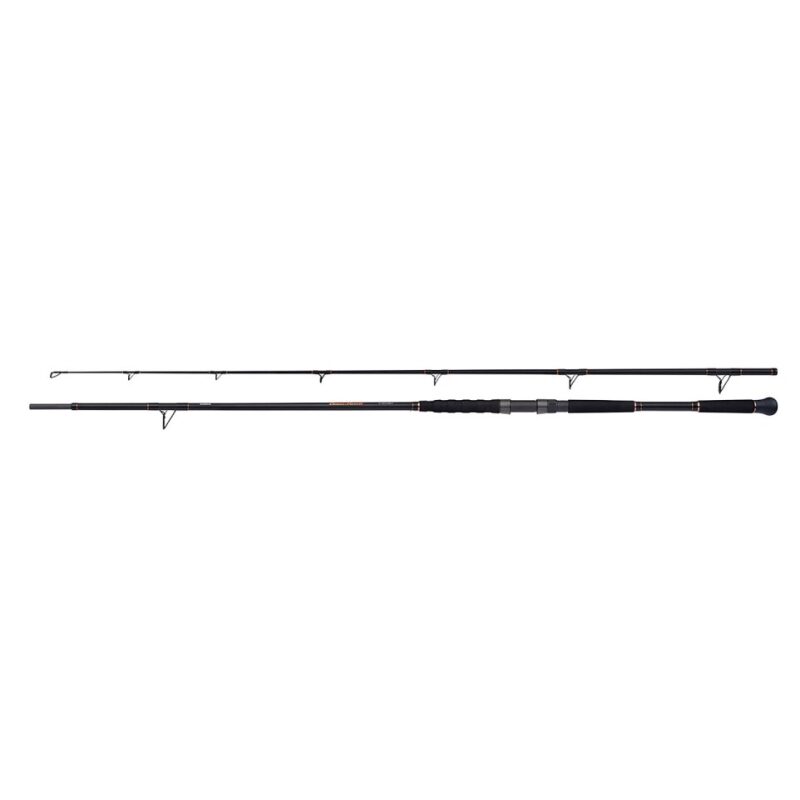 Canne à Pêche Shimano Beastmaster AX Catfish 2.70m 200g - Pour Silure, Modèle 2024, Neuve