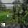 Poseidon P4 Line SHR Bobbin