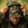 Sonik Lightweight Jacket Camo - 2XL
