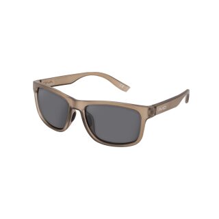 Avid Carp SeeThru Prism Polarised Sunglasses
