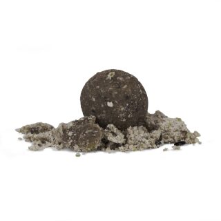 Avid Carp B8-Up Fish 20mm 5kg