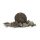 Avid Carp B8-Up Fish 20mm 5kg