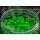Sonubaits - Spikeum Wafter Marine Green 8 mm