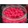 Sonubaits - Spikeum Wafter Krill & Squid 8 mm