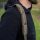 Avid Carp RVS 10ft Retractable 2-Rod Bag