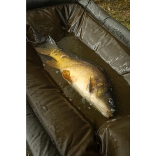 Fox Carpmaster Welded Cradle