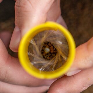 Avid Carp Transfer Solid Bag System