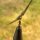 Avid Carp Outline FleckTone Anti-Tangle Sleeve