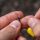 Avid Carp Outline Tungsten Naked Heli Beads
