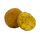 Avid Carp Creamy Scopex Boilies - 1kg 20mm