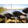 Rhino VX 55 V2 Electric Outboard Motor