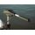 Rhino VX 65 V2 Electric Outboard Motor