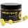 CCMoore NS1 Pop Ups Yellow 12mm