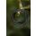 Fox Edges Tuff Tungsten Tubing 2m