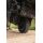 Carp Porter - Roamer Carp Porter Dark Kamo