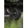 Carp Porter - Trident Power Porter Green + Battery + Charger