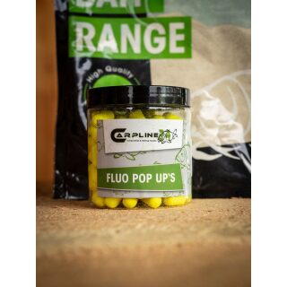 Carpline24 - Winter Base-Pack