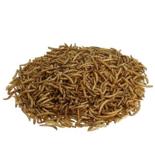 Soldatenfliegenlarven getrocknet 2 kg