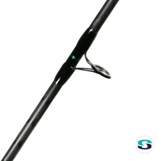 Zeck Fishing Pro-Cat Rod soft 300cm 350g