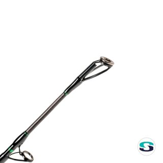 Zeck Fishing Pro-Cat Rod 3,00m 400g