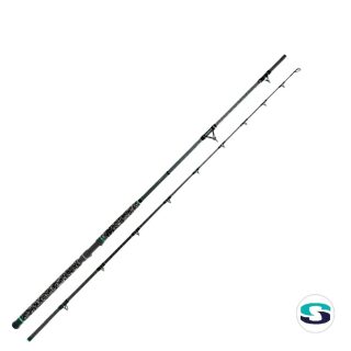 Zeck Fishing Pro-Cat Rod Skyrock 3,30m 500g