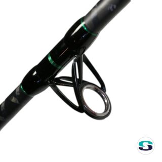 Zeck Fishing Pro-Cat Rod Skyrock 3,30m 500g