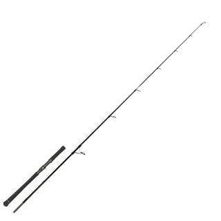 Zeck Fishing Evo Cat Spin Rod