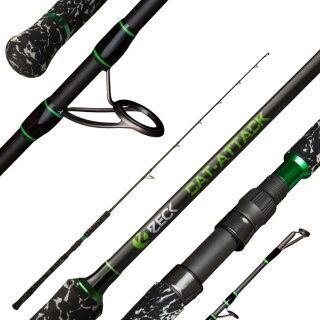 Zeck Fishing Cat-Attack Vertic Rod 1,70m 200g