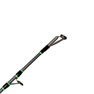 Zeck Fishing Cat-Attack Vertic Rod 1,70m 200g