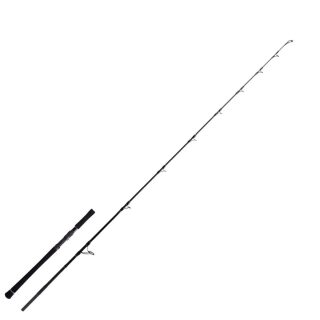 Zeck Fishing Evo Cat Vertic Rod 1,90m 180g